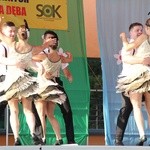 Festiwal folklorystyczny w Nowej Dębie