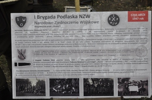 VIII Odyseja Historyczna