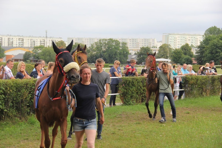 Wyścigi konne 2017