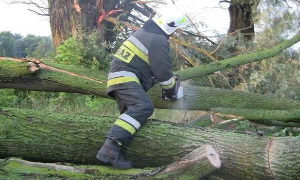 Blisko 1000 interwencji strażaków po burzach