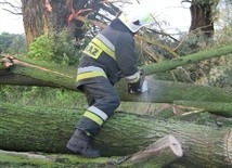 Blisko 1000 interwencji strażaków po burzach