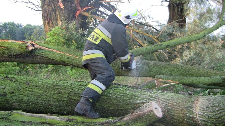 Blisko 1000 interwencji strażaków po burzach