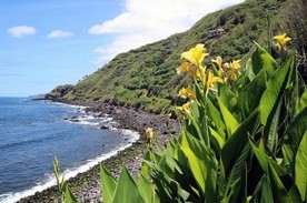 Sao Miguel