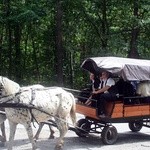 Międzynarodowy Tabor Pamięci Romów