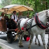 Międzynarodowy Tabor Pamięci Romów