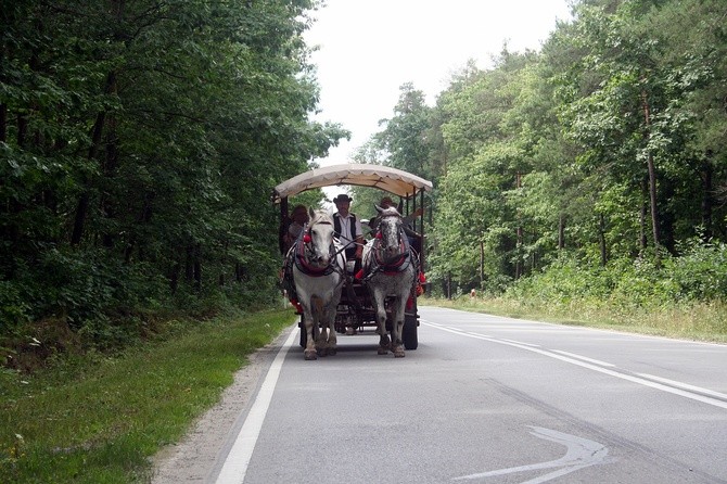 Międzynarodowy Tabor Pamięci Romów