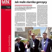 Gość Świdnicki 31/2017