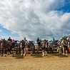 Dorożkarze – królowie luksusowego transportu na wyspie Sark.