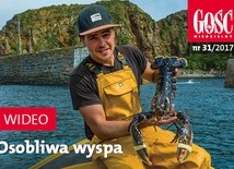 Zwiastun najnowszego „Gościa”