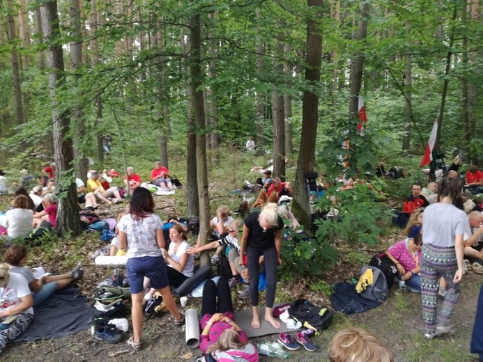 Postój to jedzenie i leżenie