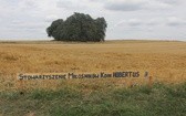 VIII Konna Pielgrzymka