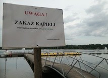 Zakwitły sinice w Tychach 