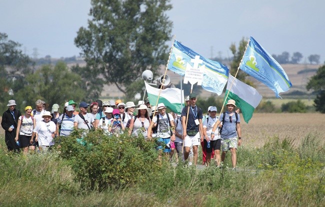 W 37. Pieszej Pielgrzymce Głogowskiej na Jasną górę w czterech grupach szło 200 pątników.