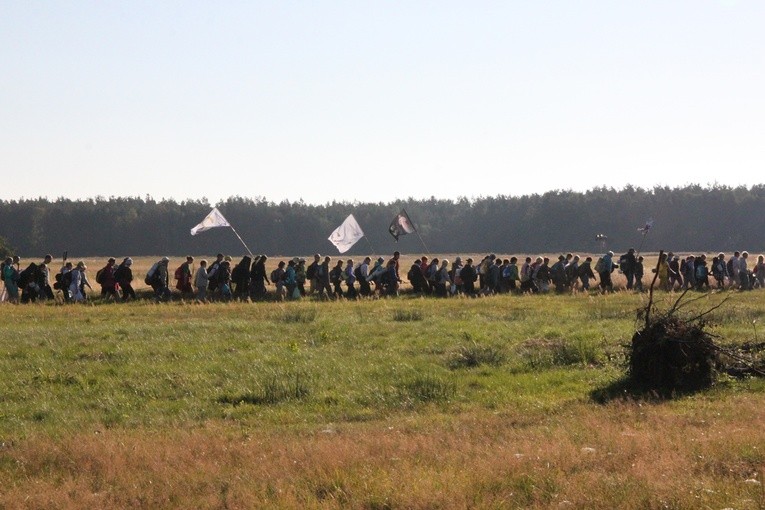 Do lasu za Dąbrową