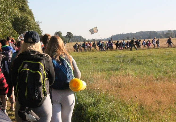 Do lasu za Dąbrową