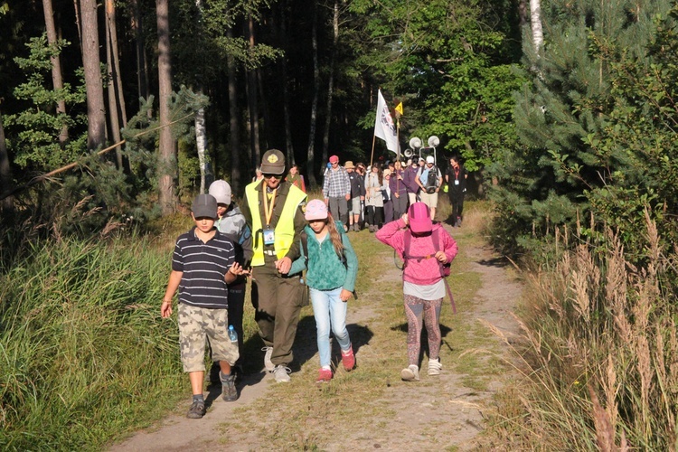 Do lasu za Dąbrową