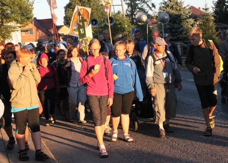 Do lasu za Dąbrową