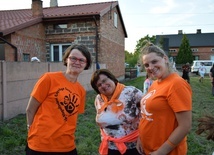 Apel grupy pomarańczowej