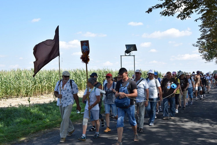 Grupa brązowa