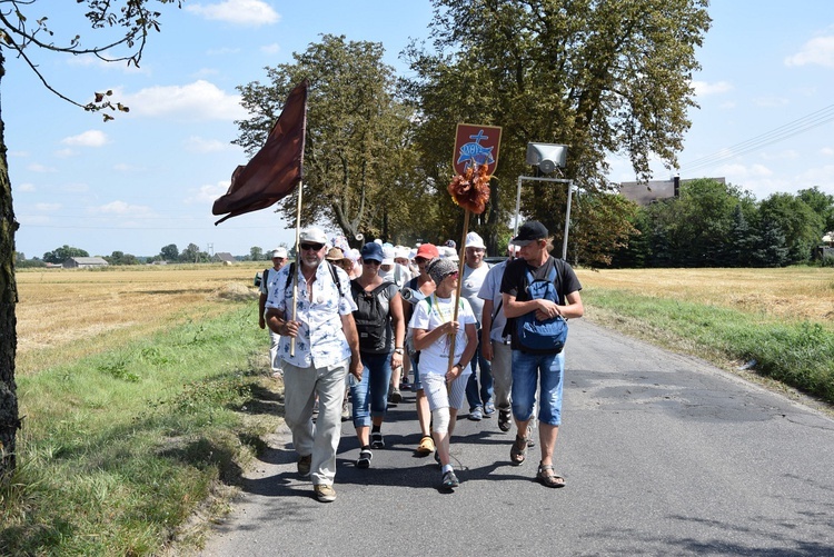 Grupa brązowa