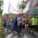 Starsi pielgrzymi w drodze na Jasną Górę