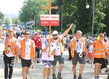 Za głównym emblematem podążały kolejne grupy pątników z diecezji bielsko-żywieckiej