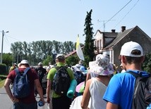 Grupy cytrynowa i biało-żółta