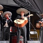 Koncert inauguracyjny 26. Międzynarodowego Festiwalu Folkloru w Strzegomiu