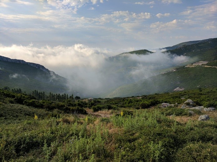 Pożary na Korsyce - setki ewakuowanych