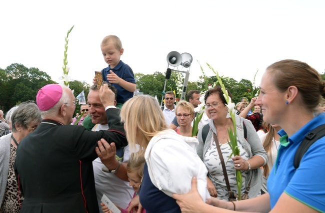 Pielgrzymka diecezji radomskiej - kolumny: opoczyńska, skarżyska i starachowicka