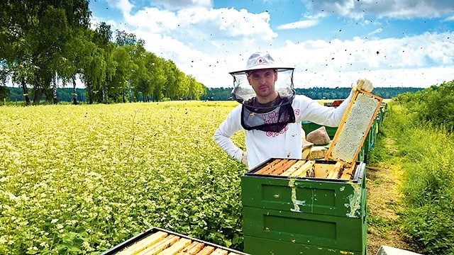 Miód to efekt nie tylko ciężkiej pracy pszczoły, ale też pszczelarza