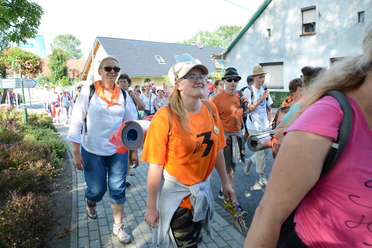 Strumień opolski w Kamieniu Śląskim