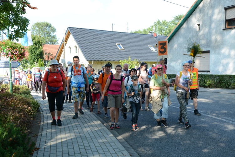 Strumień opolski w Kamieniu Śląskim