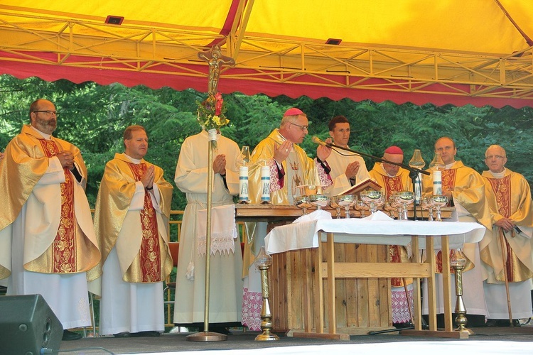 Diecezjalna Pielgrzymka Rodzin