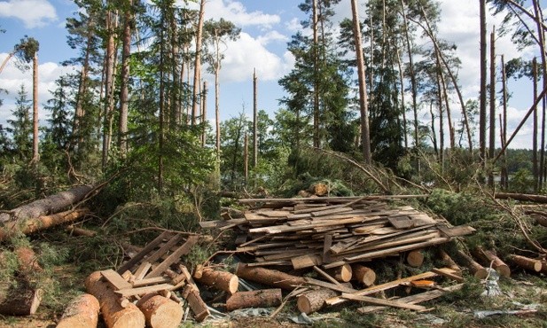 ZHR: Mieszkańcy wsi Lotyń pomogli nam pierwsi