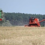 Diecezjalne Dożynki