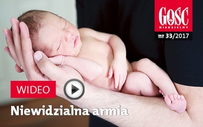 Zwiastun najnowszego „Gościa”