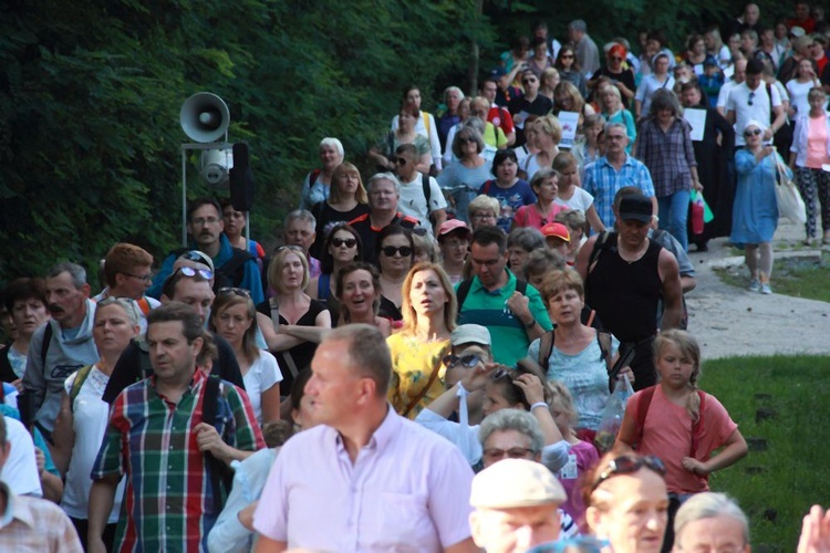 Pielgrzymka Trzeźwości 2017