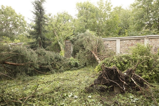 Zniszczenia w klasztorze gnieźnieńskich karmelitanek