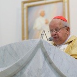 Pielgrzymka czcicieli Bożego Miłosierdzia 2017 - cz. 1