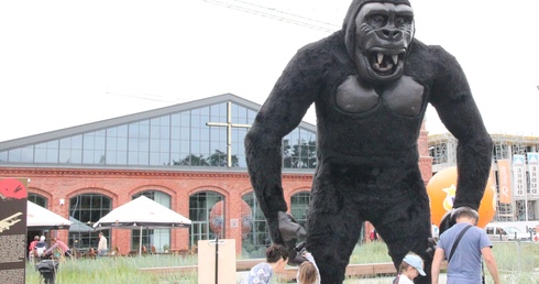 King Kong i polsko-amerykańskie dzieje