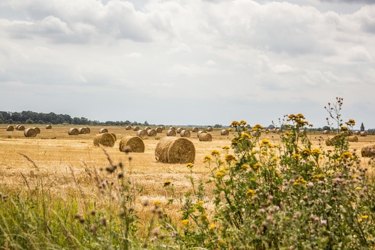 Pielgrzymka z "trójeczką"