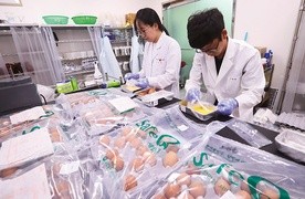 Pracownicy Krajowej Izby Zarządzania Jakością Produktów Rolnych w Korei Południowej sprawdzają, czy dostarczone przez farmy jaja nie są zanieczyszczone fipronilem.
