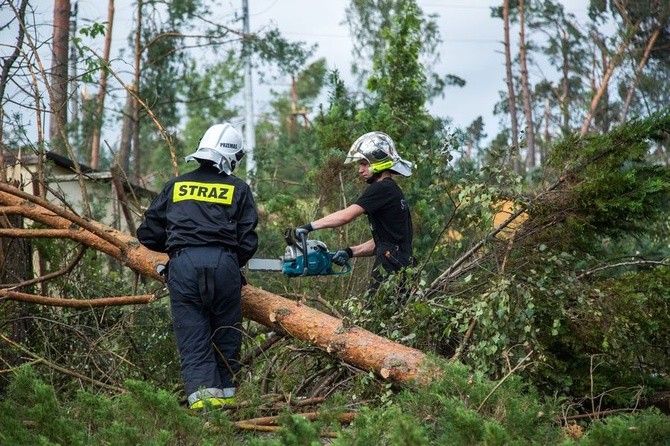 Rytel kilka dni po nawałnicy