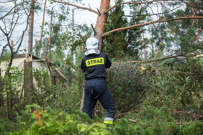 Rytel kilka dni po nawałnicy