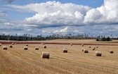 Pomoc w usuwaniu skutków wichury na Pomorzu