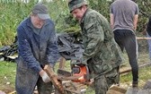 Pomoc w usuwaniu skutków wichury na Pomorzu