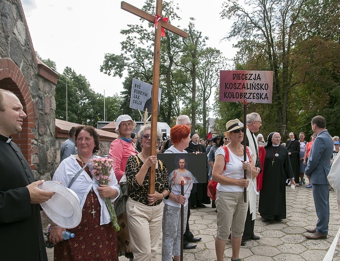 Pielgrzymka Miłosierdzia