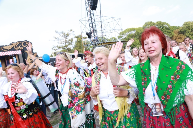 Grupa 19 - wejście