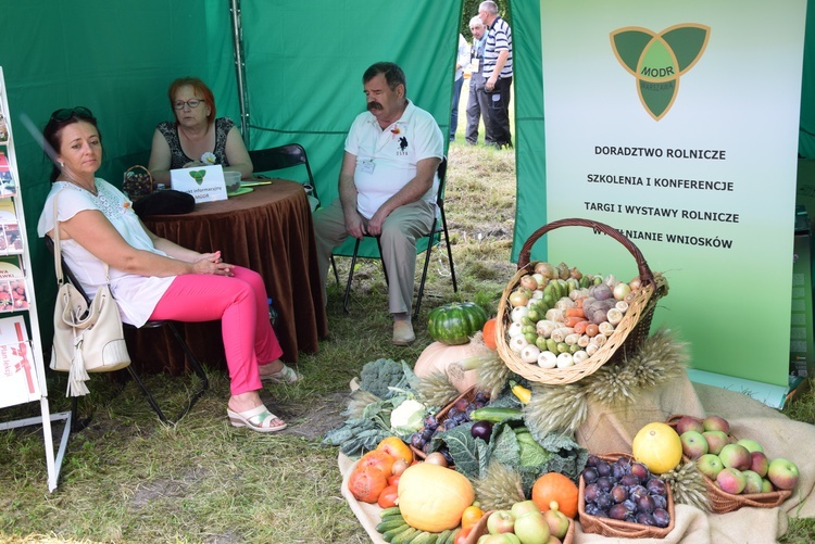 Święto chleba i miodu w Radziejowicach